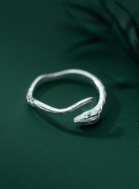 欧美蛇形戒指女时尚流行潮酷个性独特设计性冷淡纹路小蛇指环素戒