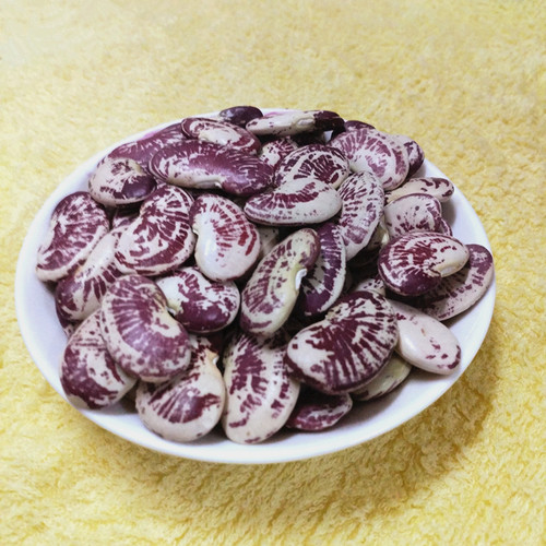 云南农家荷包豆状元豆大肾豆500g豆类五谷杂粮花芸豆花豆非斑马豆 - 图1