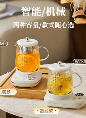 养生烧水壶小型宿舍一人煮茶壶