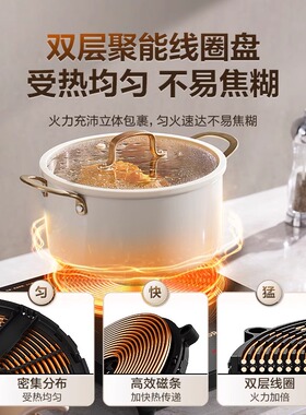 苏泊尔电磁炉家用炒菜锅一体