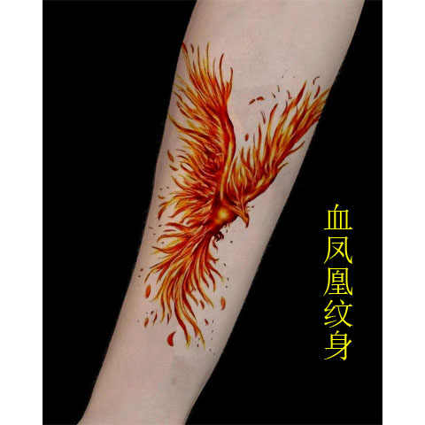 刺青凤凰 新人首单立减十元 21年9月 淘宝海外