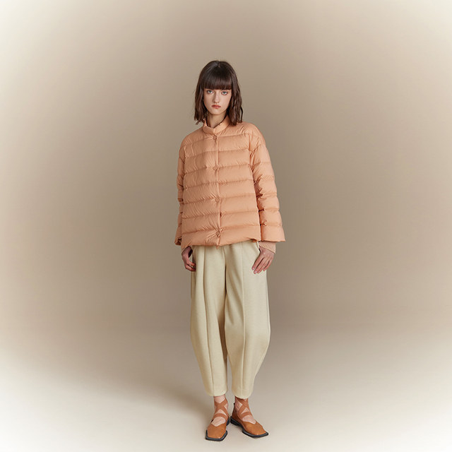 Taiwan embroidery commuter style short stand collar down jacket