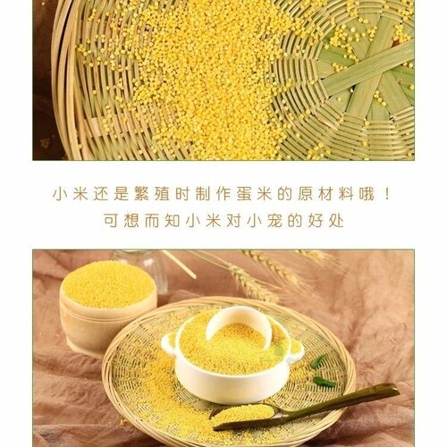 虎皮鹦鹉饲料鸟食玄凤谷子牡丹粮食文鸟不带壳黄小米黄雀鸟粮包邮 - 图2
