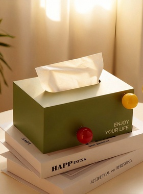 北欧高档纸巾盒摆件家用办公