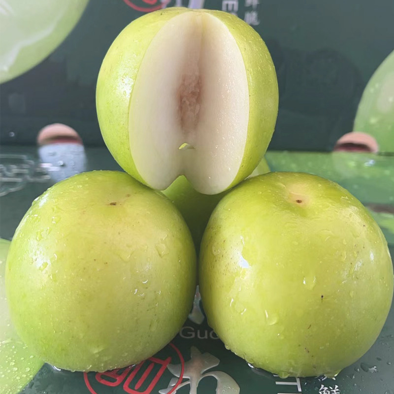 云南西双版纳苹果青枣新鲜采摘产地3-5斤应季水果脆甜多汁非冬枣