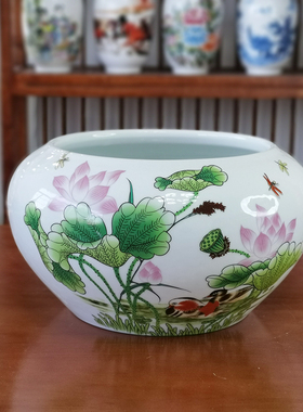 景德镇陶瓷器金鱼缸睡莲荷花盆栽