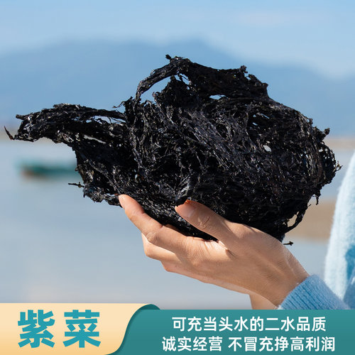 福建莆田紫菜 下蒋当季新货 农家手工日晒新货紫菜干货o - 图0