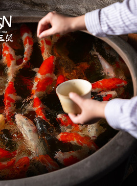 仿老花园景德镇陶瓷雕刻睡莲缸