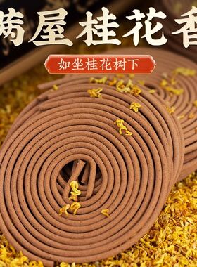 香炉陶瓷家用室内大号熏香炉