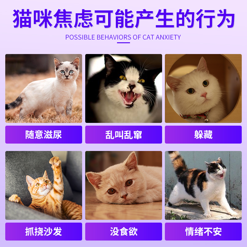 费利威费洛蒙猫用feliway经典防猫乱尿应激宠物喷剂20ML喷雾 - 图0