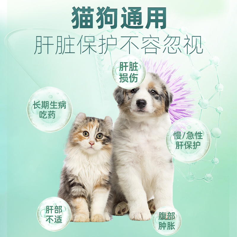 猫咪护肝宠物保肝狗狗护肝犬肝脏保护药拜维甘护肝猫用宠物护肝片 - 图0