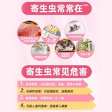 爱沃克 Противоглистный препарат для кошек, внутренняя и внешняя интеграция, репеллентные капли Bayer, внутренний репеллент Hailemiao от кошачьих ушных клещей и блох.