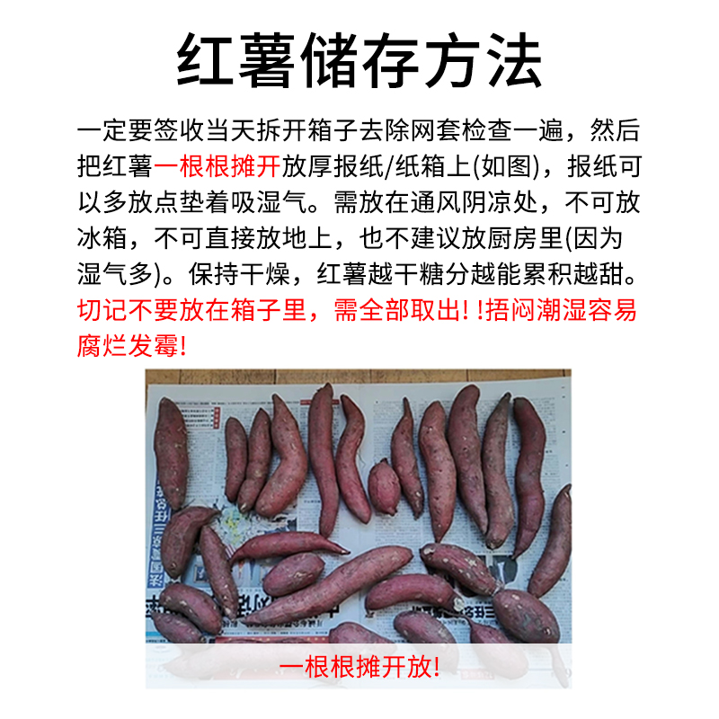 豆尚果品海南鸣门金时板栗地瓜粉糯细腻香甜宝宝果番薯无筋红薯 - 图2