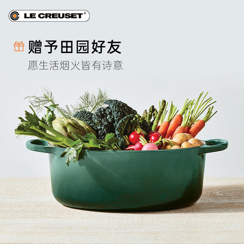 酷彩LE CREUSET法国进口珐琅铸铁锅S系列海鲜微压炖锅绿光森林 - 图2