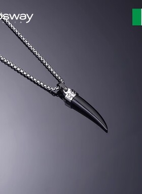 欧美时尚钛钢项链男款复古