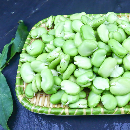 云南农家自种新鲜蚕豆绿心豆米蔬菜嫩罗汉豆去皮青胡仁兰花豆种 - 图0