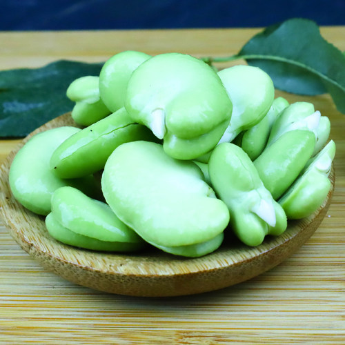 云南农家自种新鲜蚕豆绿心豆米蔬菜嫩罗汉豆去皮青胡仁兰花豆种 - 图1