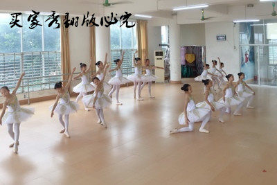 成人儿童专业芭蕾舞裙演出舞蹈服装定做睡美人女纱裙TUTU蓬蓬裙 - 图3