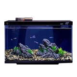 Xiaomi Fish Tank Маленькая гостиная Экологическая домохозяйство Mijia Smart Desktop Back Filter может бесплатно управлять сетевым красным ландшафтом роскошного ландшафта