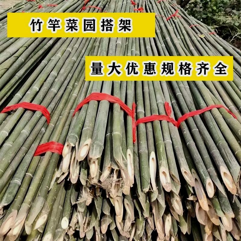 小竹杆菜园搭架蔬菜爬藤支架种菜专用架子豆角豇豆黄瓜篱笆栅栏杆 - 图0