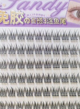 三迪甄选百搭鱼尾太阳花单株睫毛