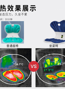 办公室护腰坐垫思菲其