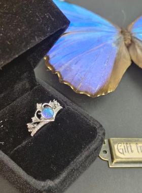 大蓝闪蝶真蝴蝶标本镀银戒指大气精致ins设计生日礼物送女友