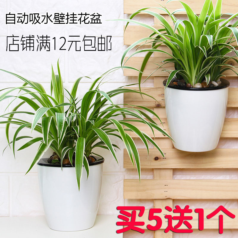 懒人花盆自动吸水花盆  壁挂花盆  植物墙花盆 吊兰绿萝花盆 吊盆,淘宝优惠券,粉丝福利购,淘宝优惠卷