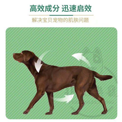 猫狗皮肤病杀螨治真菌软膏中药外用秃毛长新毛显著不怕舔原装森巴 - 图1