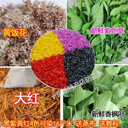 紫米草紫蓝草广西三月三五色糯米饭植物染料天然红色黄染饭红蓝草 - 图3