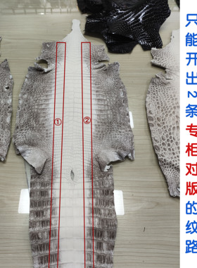 进口喜马拉雅白尼罗鳄鱼皮可定制