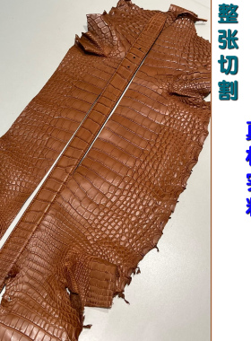 进口美洲鳄鱼哑光肚皮腰带不拼接
