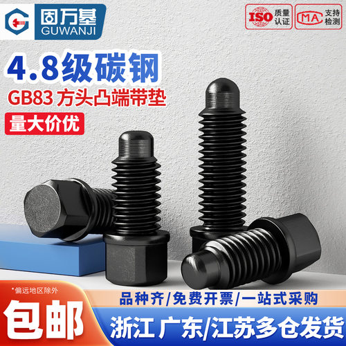 铁黑方头顶丝刀架机米螺钉带垫凸端紧定螺丝GB83止付螺栓M12-M20 - 图0