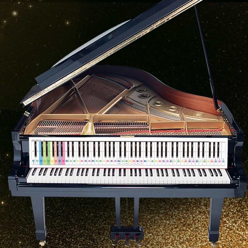 88键钢琴键盘指法练习纸琴键对照表彩色钢琴键盘纸五线谱键盘图 - 图2