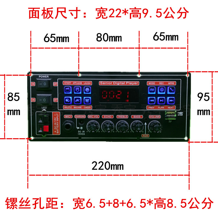 16151广场舞音响功放板 12V录音蓝牙K歌双声道电瓶音箱主板220*95 - 图1