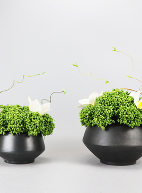 室内盆栽红色绿植新中式风假花