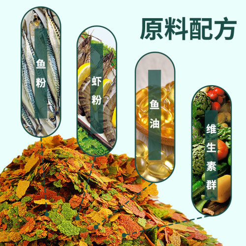 海豚牌热带鱼粮小型热带鱼神仙孔雀鱼饲料红绿灯七彩鱼微颗粒鱼食 - 图2