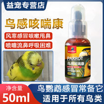 Parrot Bird Sensation Cough And Wheeze Peony Painting Brow 8 Gwren Gwren Wind chill cough and nose stocked supplies Feeling Medicine