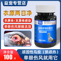 Pigeon Cold Racing Pigeon Parrot Single Eye Cold and Chlamydia Two Days Net Bird Non-pigeon Drug Common Disease Great All