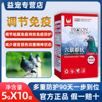 Pigeon Special Oral Miao Young Pigeon Salmonella Chlamydia Triple Six Lives Pigeon Pox New Castle Disease Letter Dove Drug Common Disease