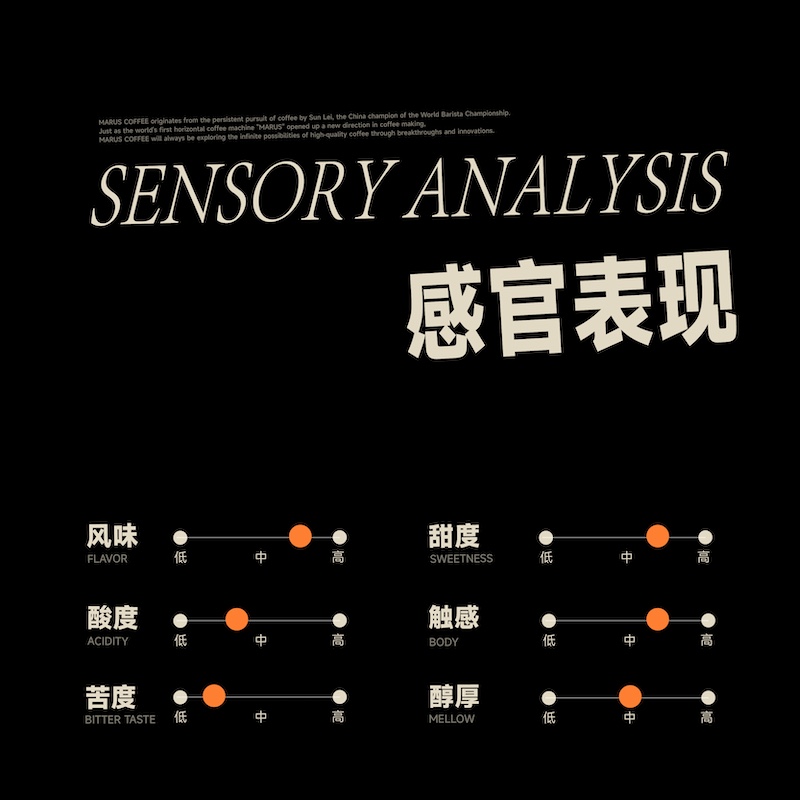 MARUS马路咖啡绝色瑰夏SOE意式咖啡豆美式COE获奖庄园中浅度烘焙-图1