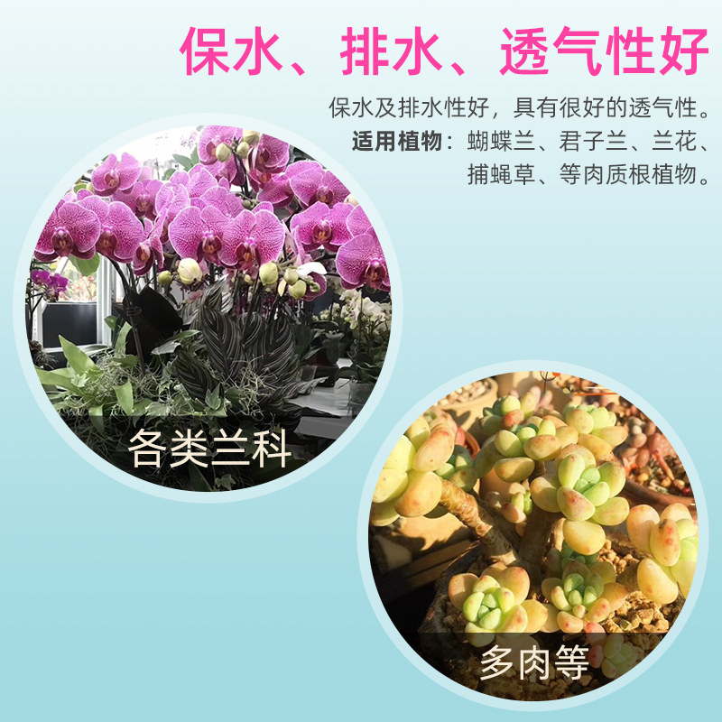 无菌干水苔智利进口蝴蝶兰石斛兰花多肉食虫植物专用营养土干苔藓 杨大爷园艺 淘优券