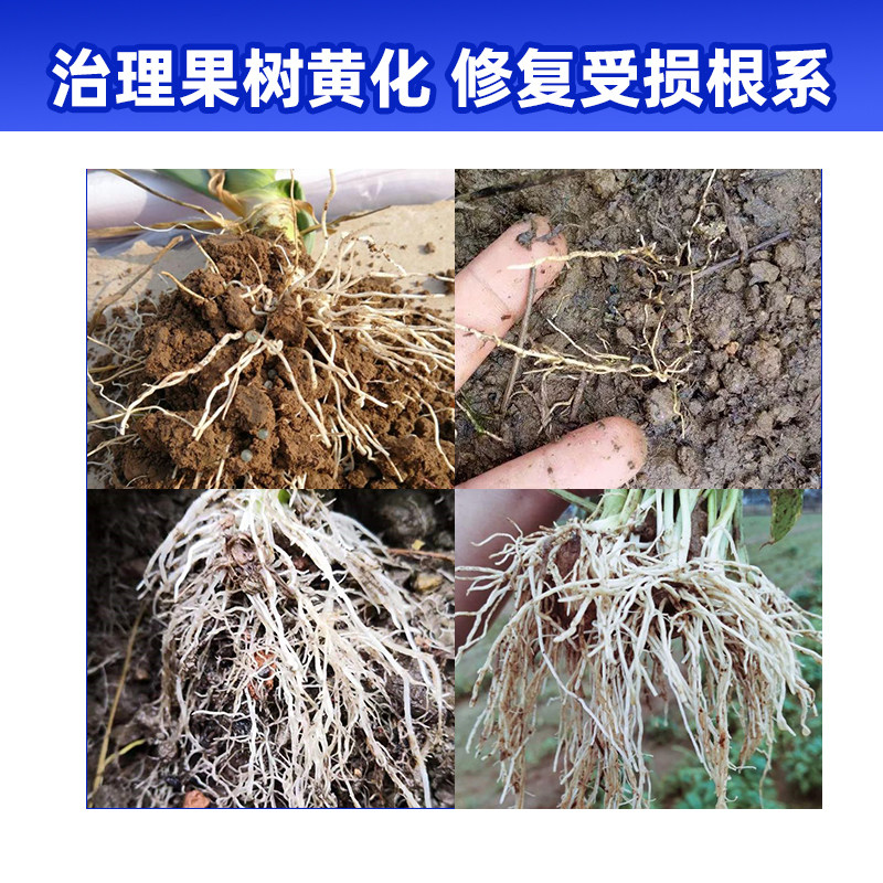 海精灵生物刺激剂素根施型生根水溶肥果树黄化爆根湖南华垦护根灵_虎窝淘