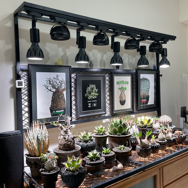 轨道风扇块根龙舌兰花卉热植柜多肉植物墙通风降温除湿自动摇头,淘宝优惠券,粉丝福利购,淘宝优惠卷