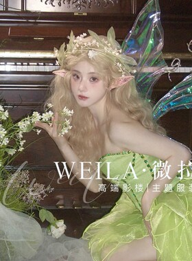 2024新款绿野仙踪精灵森系梦幻女神写真拍照影楼服装绿色抹胸彩纱