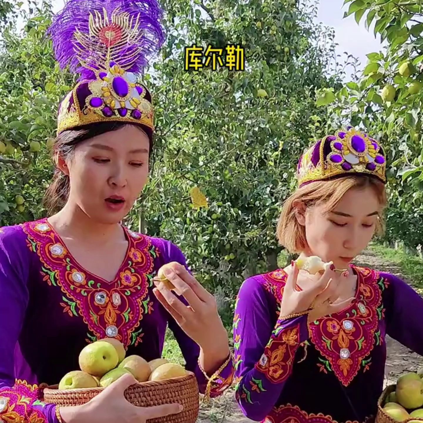 新疆库尔勒香梨特级大果新鲜水果5当季整箱箱装全母梨子10斤顺丰 - 图1