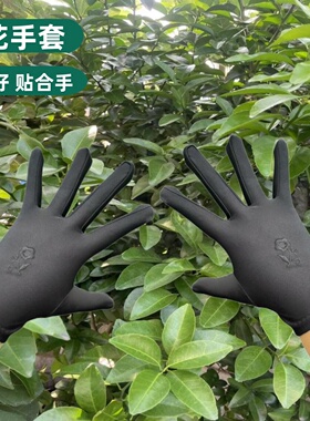 夏季女士礼仪氨纶舞蹈手套