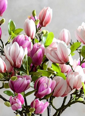 高仿3D手感玉兰花仿真花家居客厅餐桌装饰花艺中式假花摆件摆设