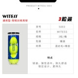 Witess для Junior High -Level Competition для Junior High -Werle