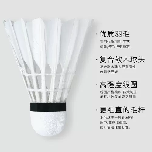 Обязательно подлинный бадминтон, борьба с борьбой с Корком 12 Установленные гусиные тренировки на открытом воздухе не могут быть гнилой